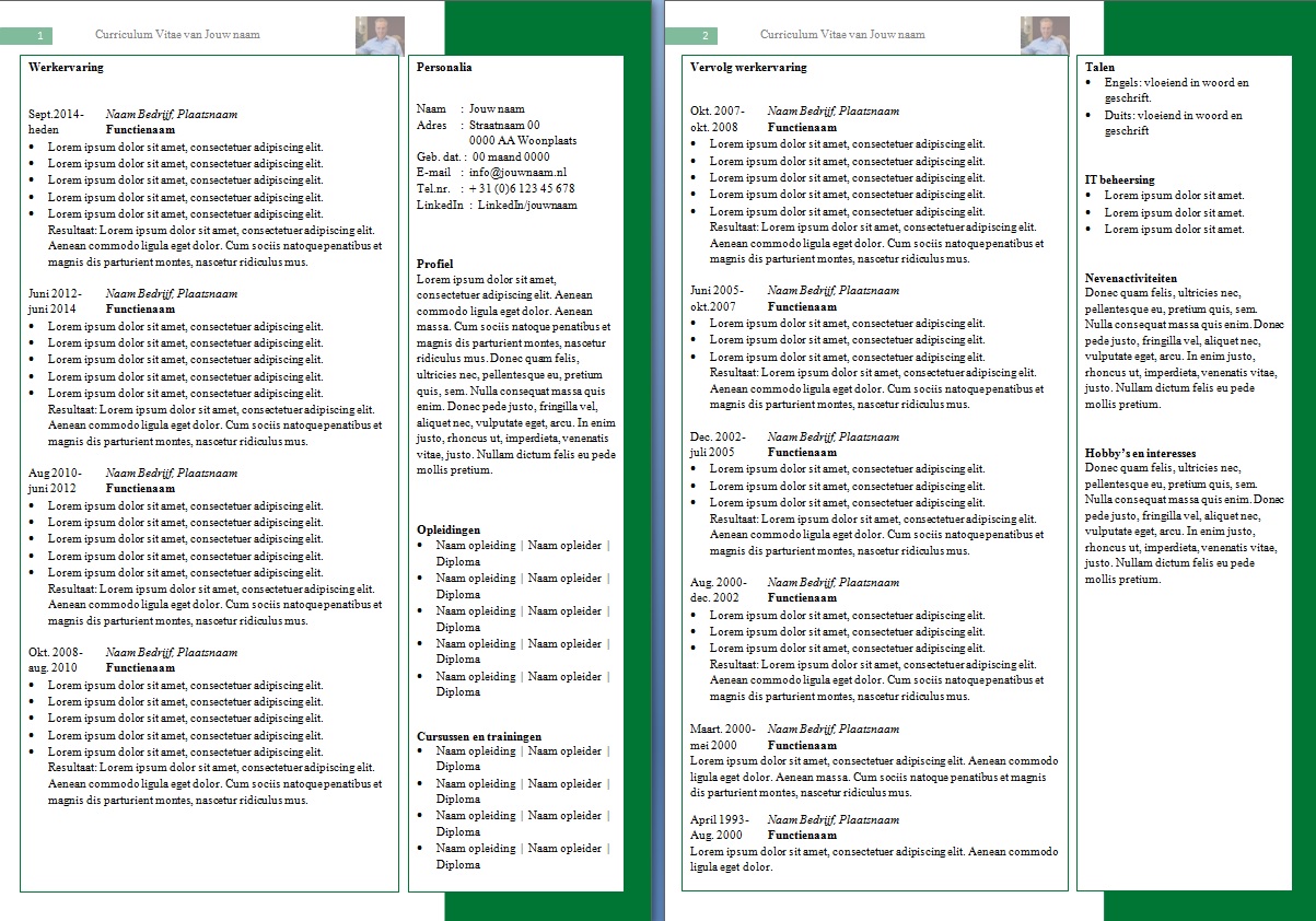 CV Voorbeeld 17 groen