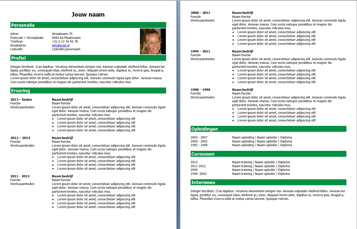CV Voorbeeld 2 groen